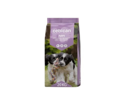 אוכל כלבים מזון גורים