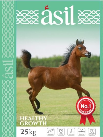 תערובת סוסים סייחים