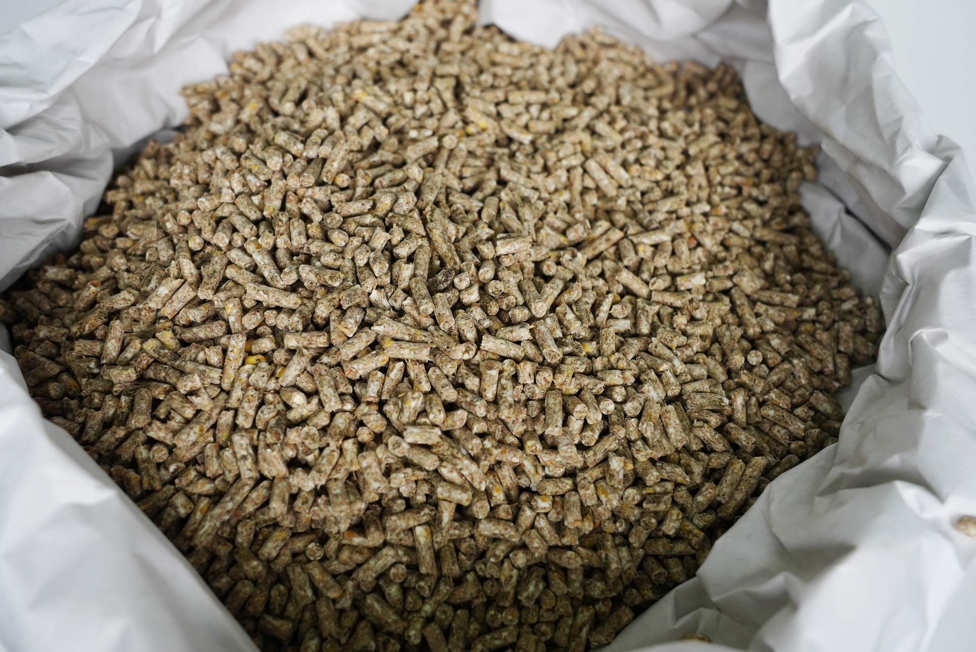 צאן טלאים פיטום כופתיות 22%