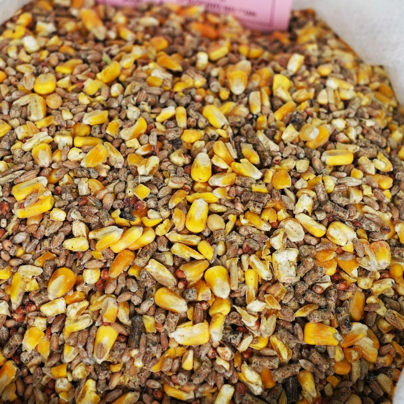 חלטה צאן חולבות 16%