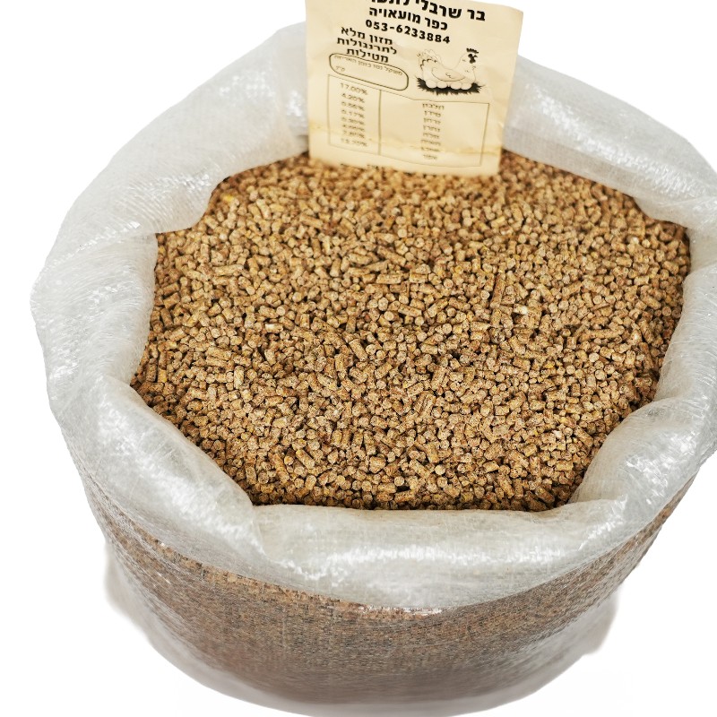 פטם עתירה שניה מ"ס 2