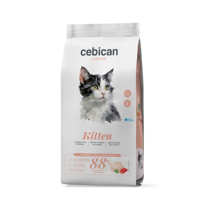 אוכל חתולים גורי חתולים