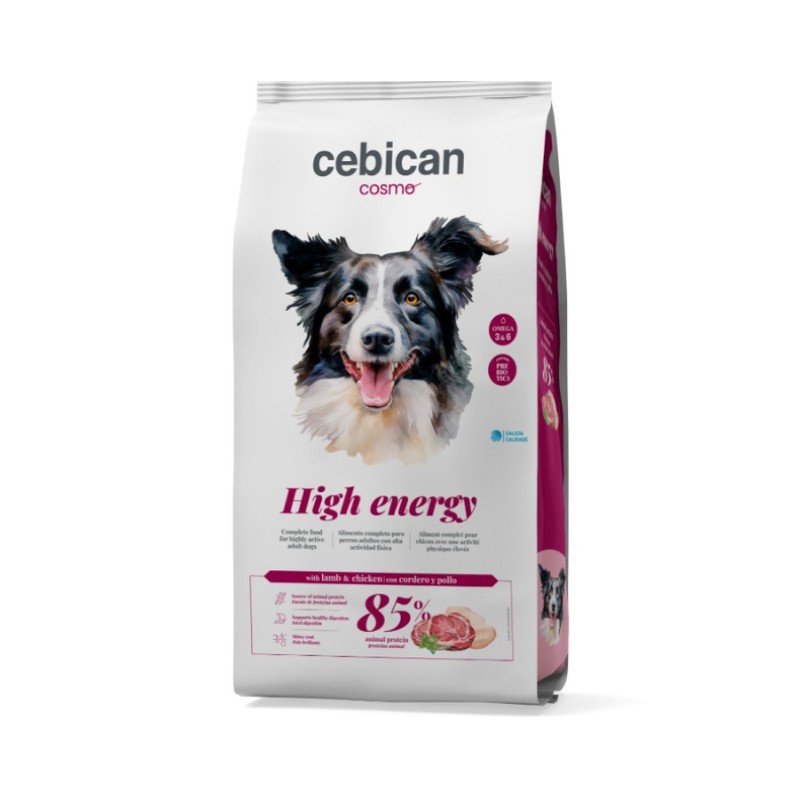 אוכל כלבים אנרגי